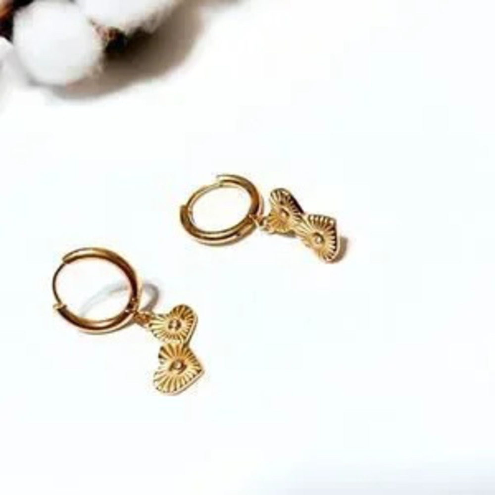Heart hoop earrings?N137